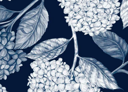 HYDRANGEA Chemise